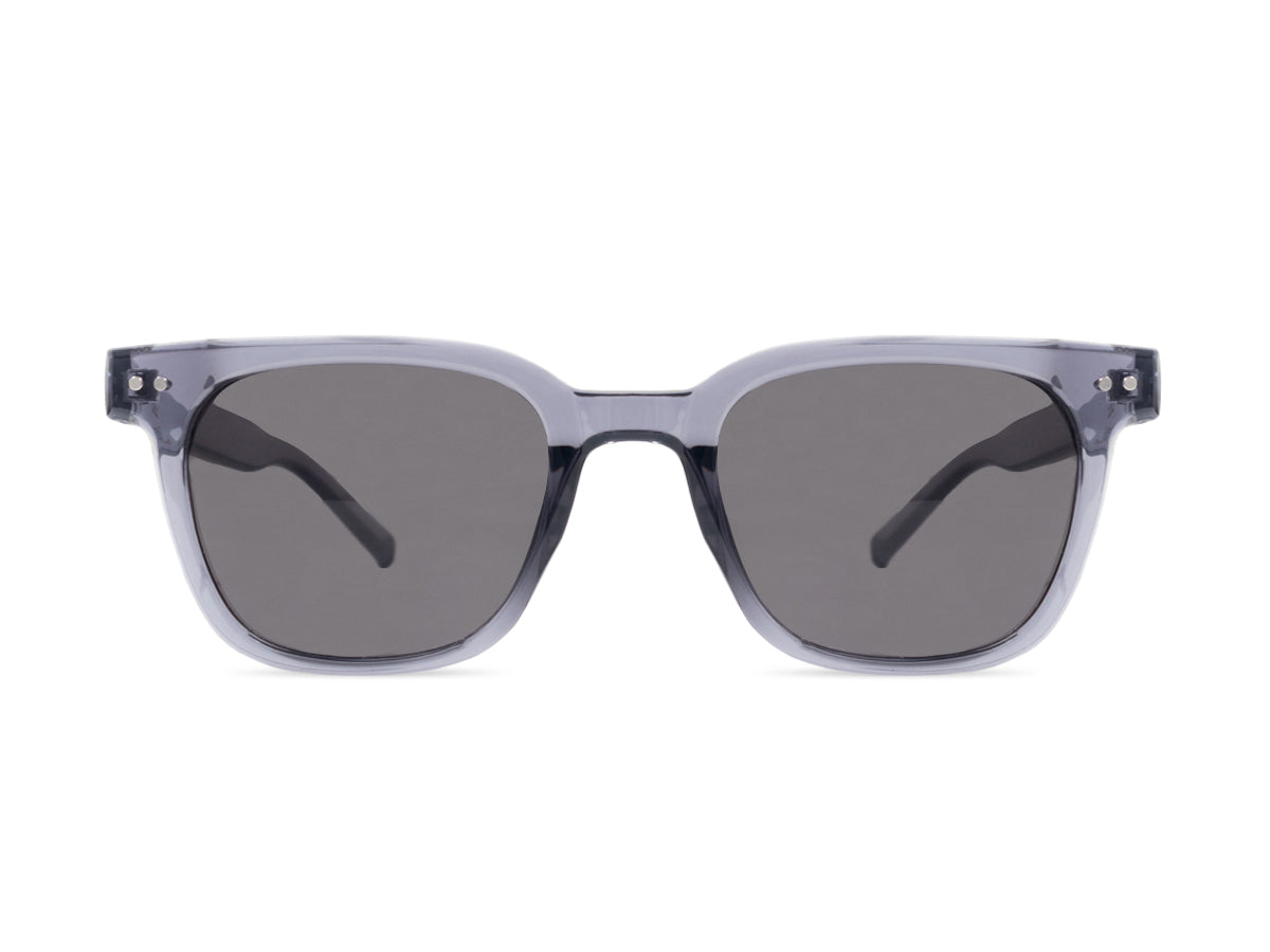 Sunglasses SG3817