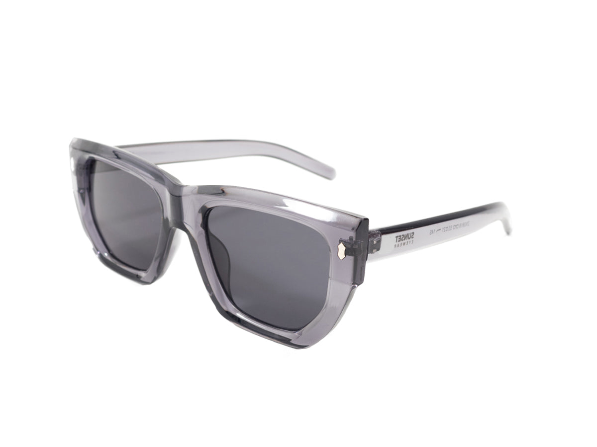 Sunglasses SG3818