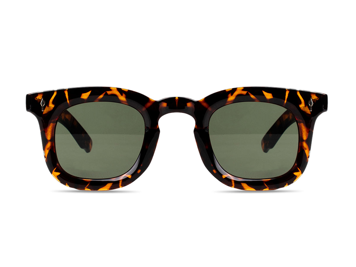 Sunglasses SG3819