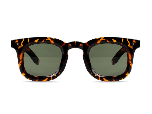 Sunglasses SG3819