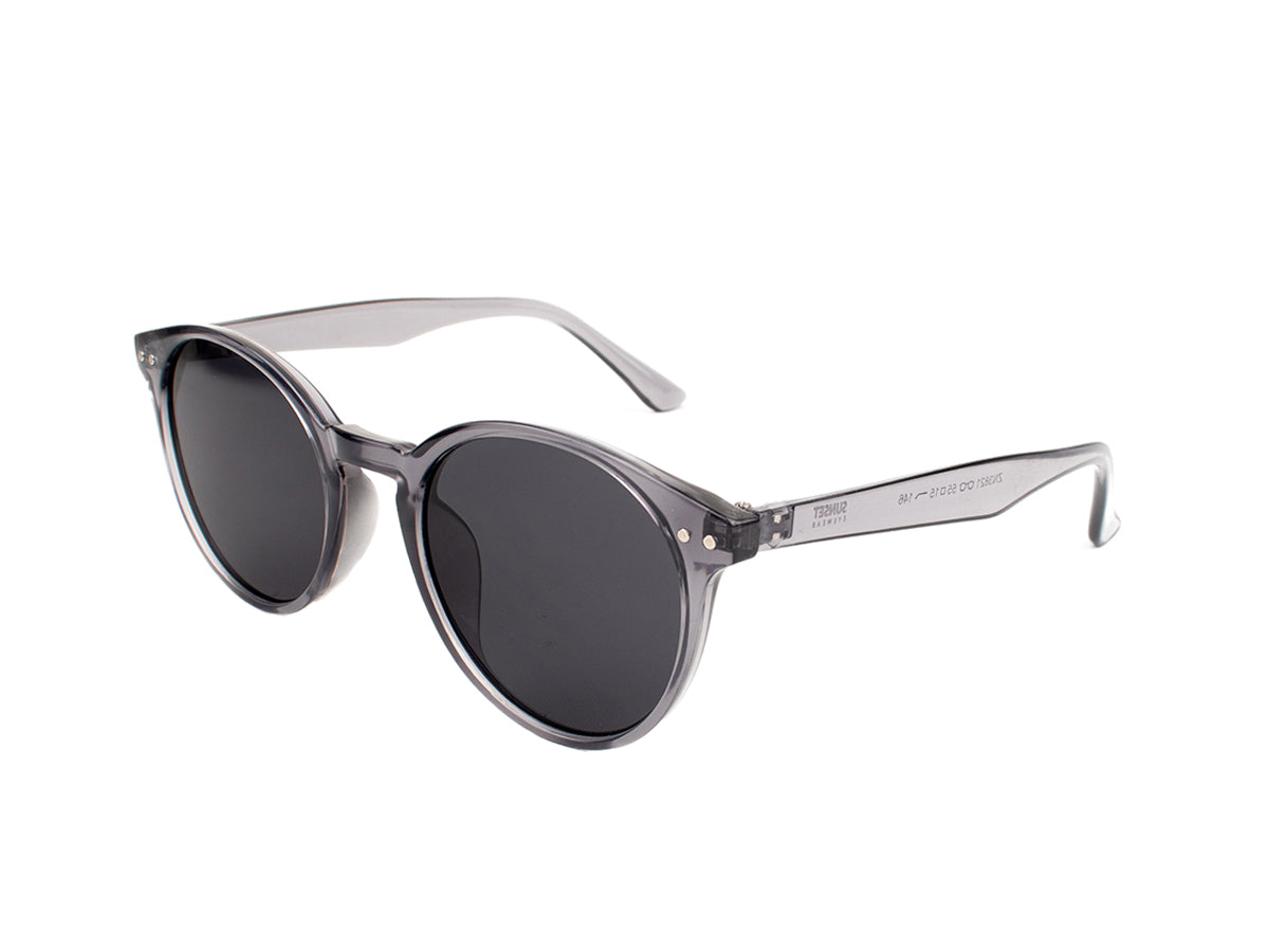 Sunglasses SG3821
