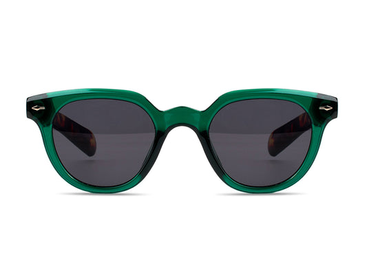 Sunglasses SG3832