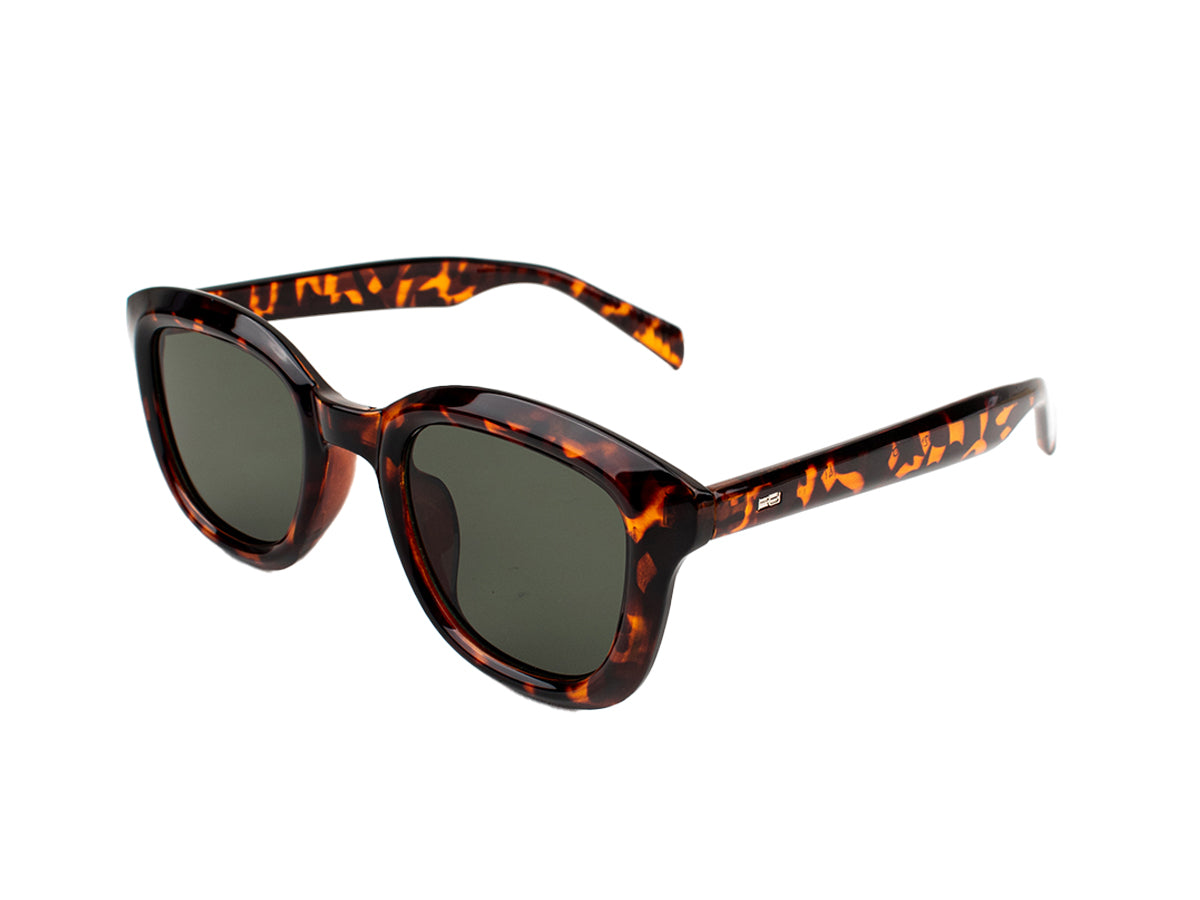 Sunglasses SG3836