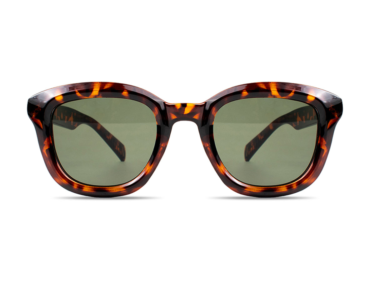 Sunglasses SG3836