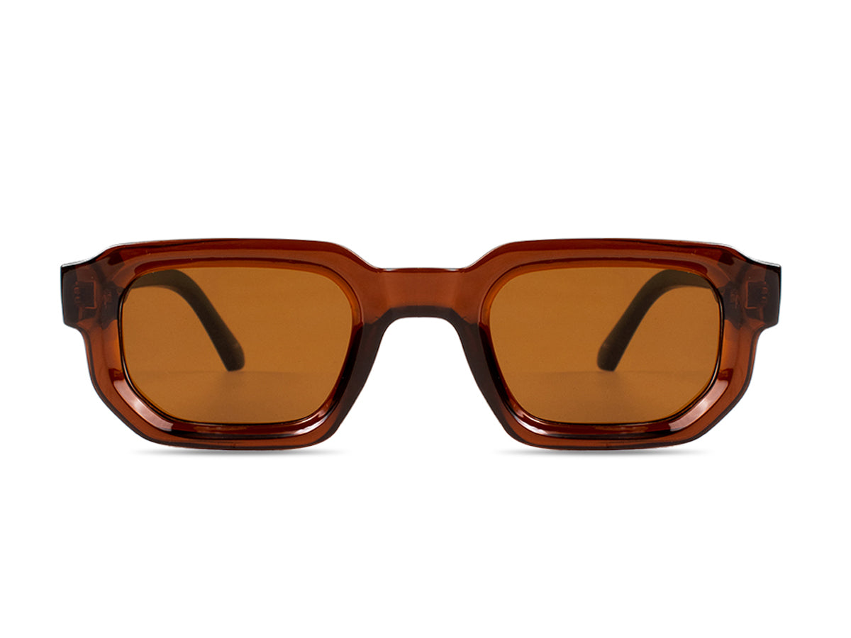 Sunglasses SG3887