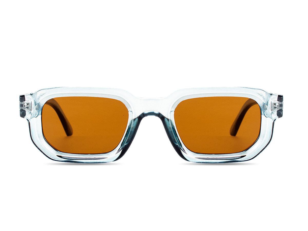 Sunglasses SG3887