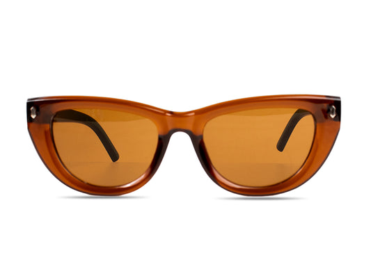 Sunglasses SG3889