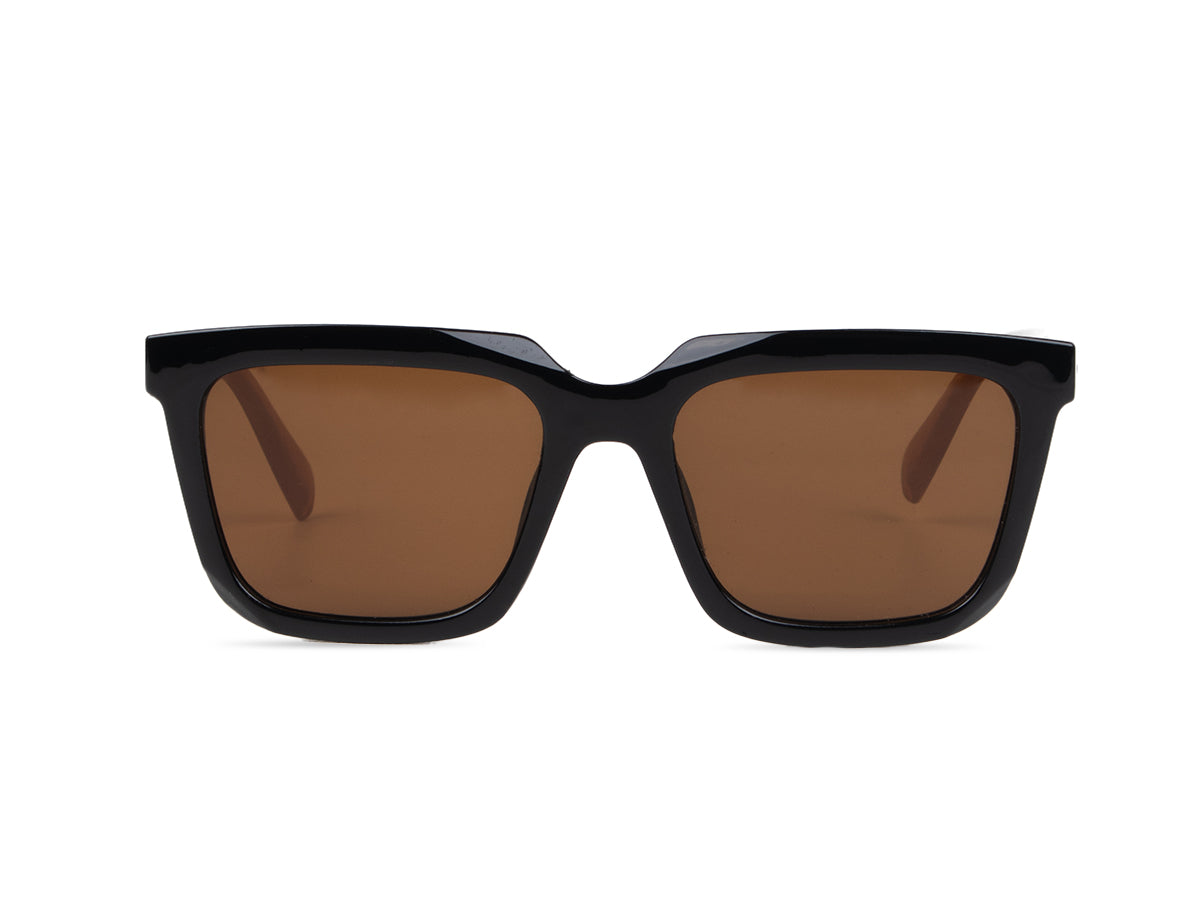 Sunglasses SG3906