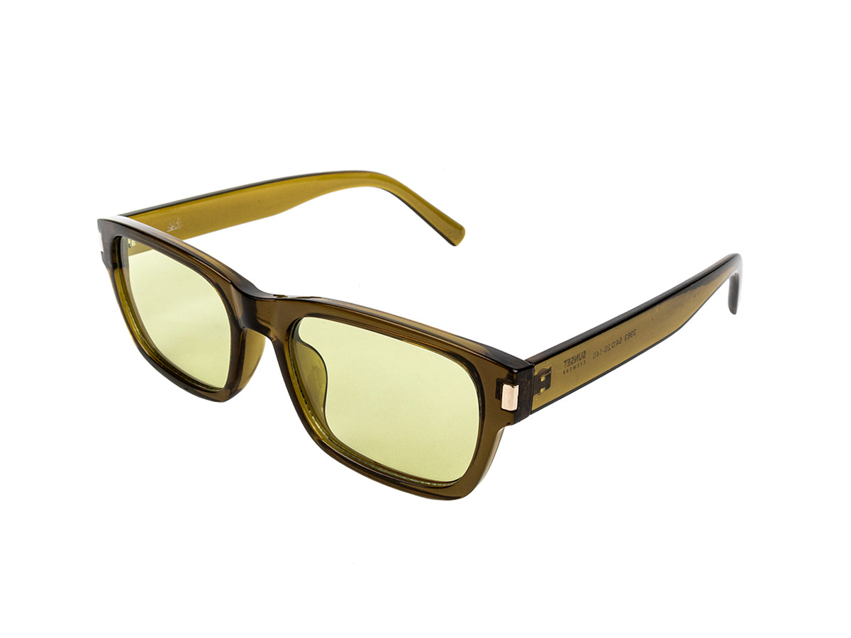 Sunglasses SG3983