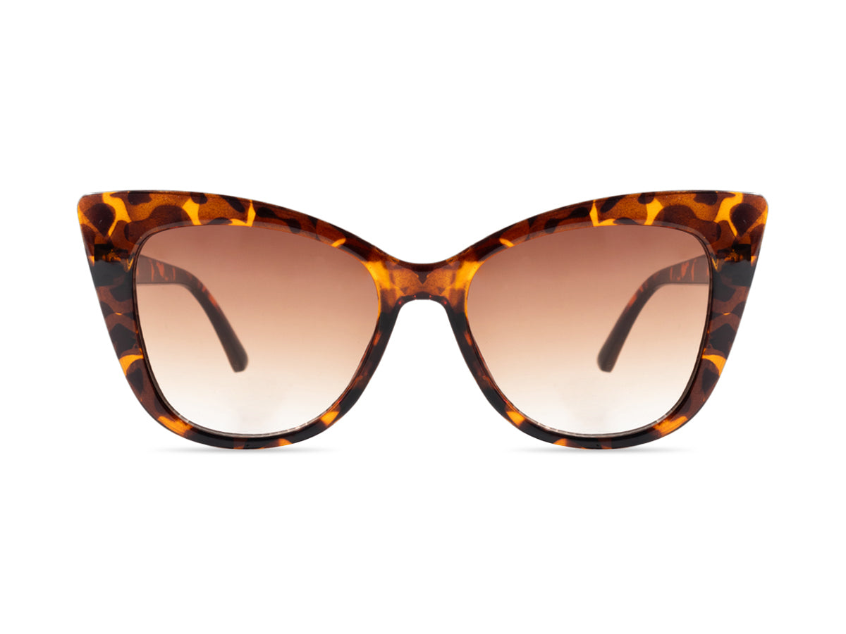 Sunglasses SG6132
