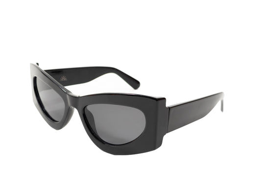 Sunglasses SG6134