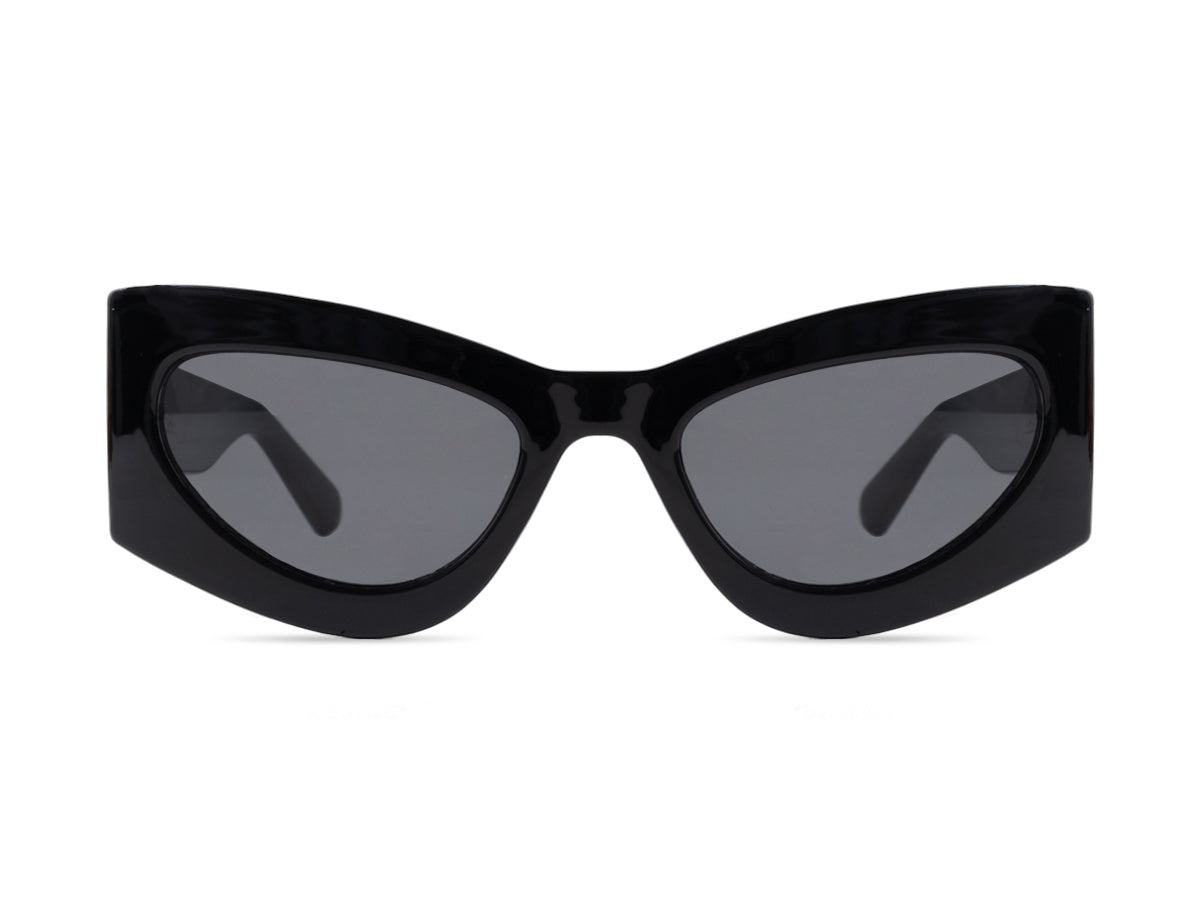 Sunglasses SG6134