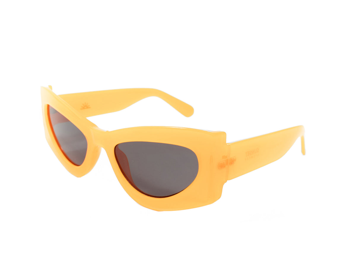 Sunglasses SG6134