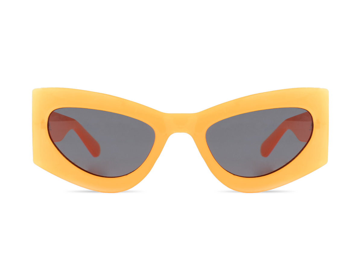 Sunglasses SG6134