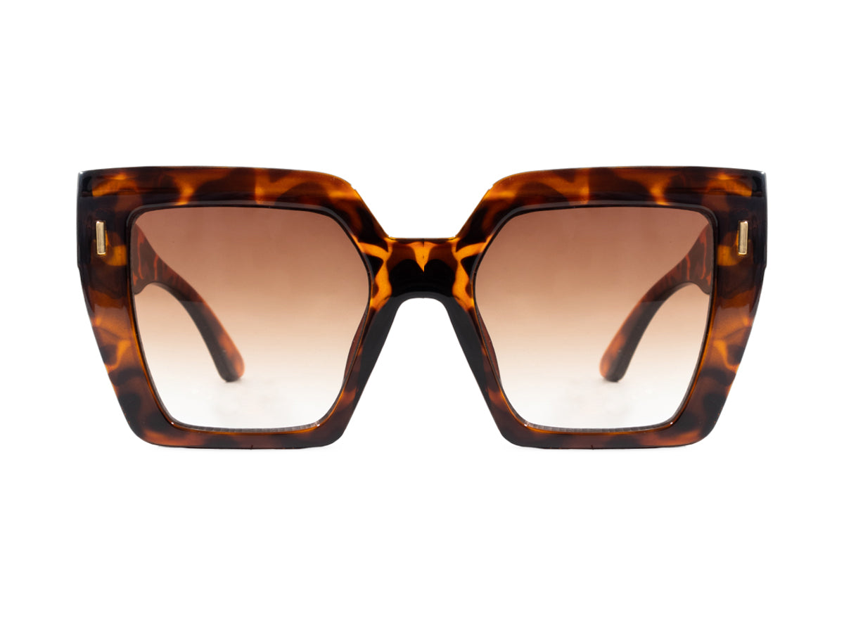 Sunglasses SG6146