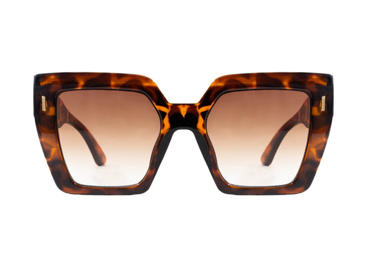 Sunglasses SG6146