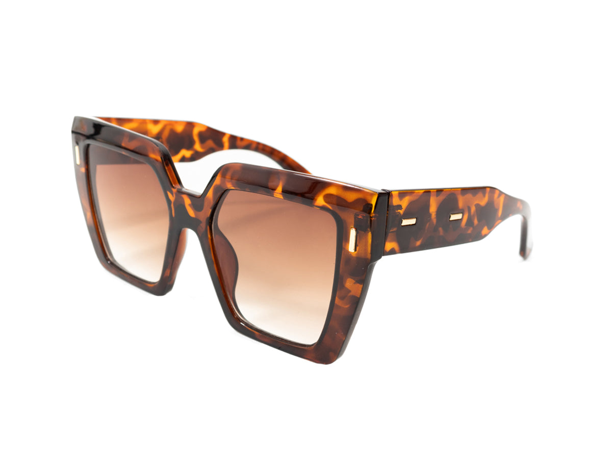 Sunglasses SG6146