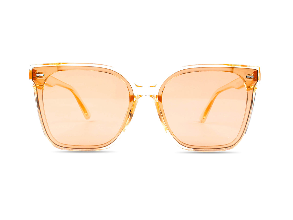 Sunglasses SGA8009