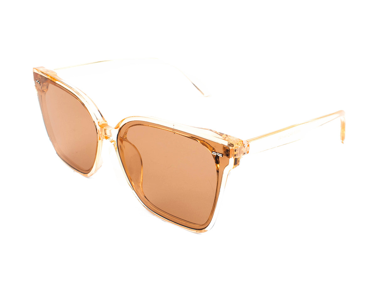 Sunglasses SGA8009