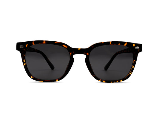 Sunglasses SGA8012