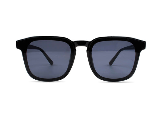 Sunglasses SGA8013