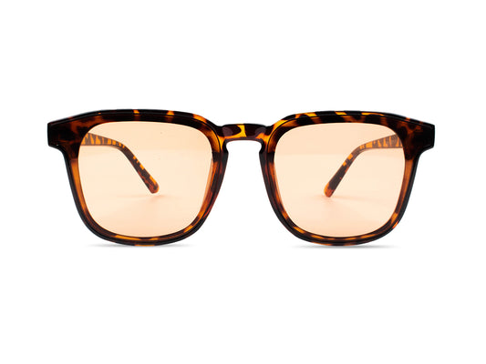 Sunglasses SGA8013