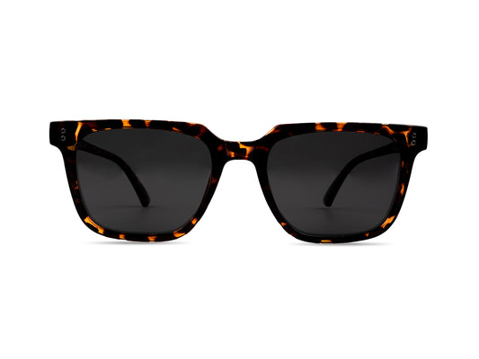 Sunglasses SGA8030