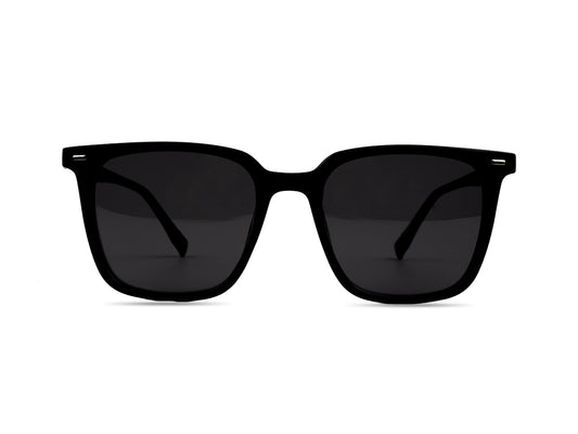 Sunglasses SGA8041