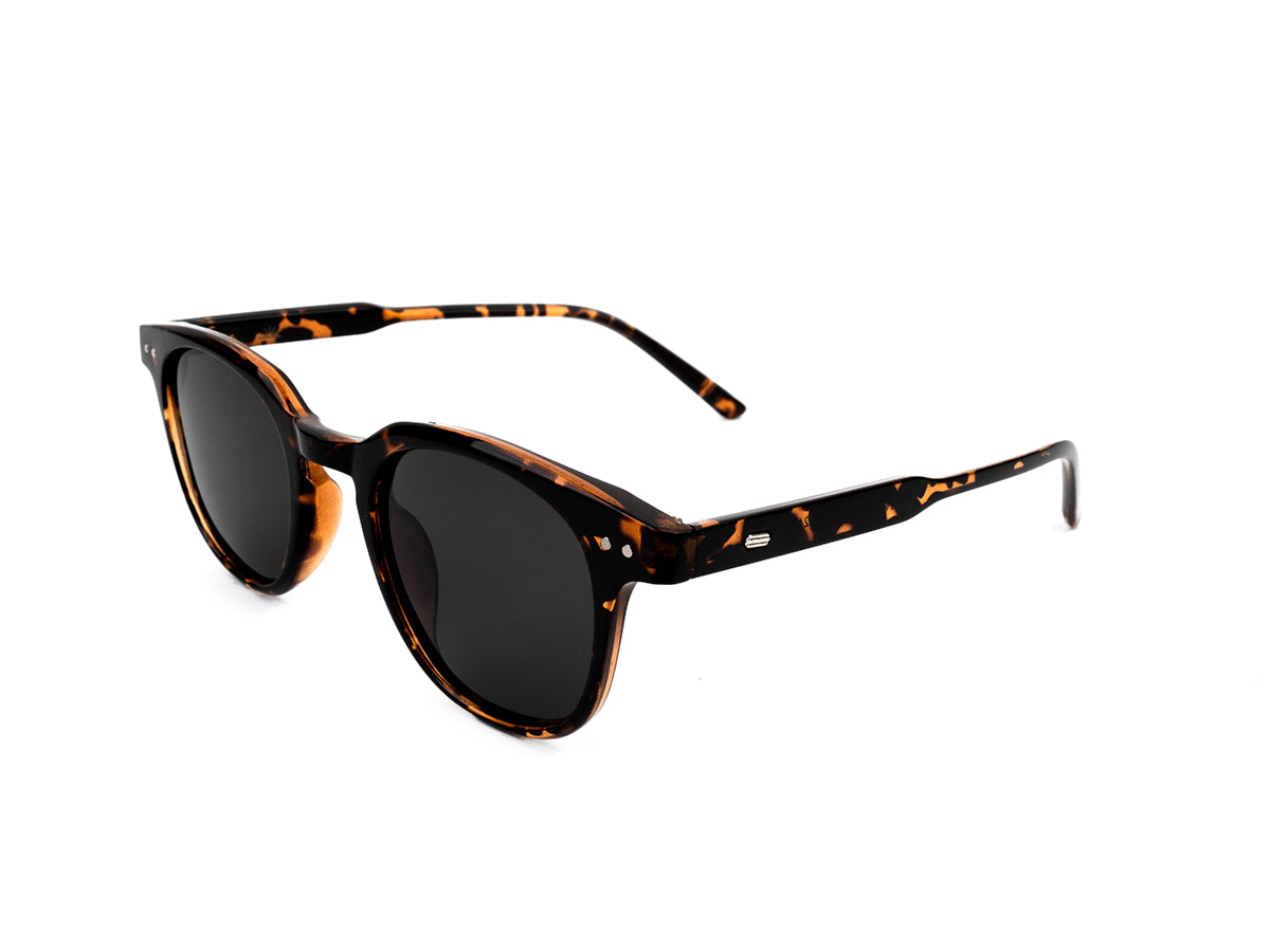 Sunglasses SGA8042