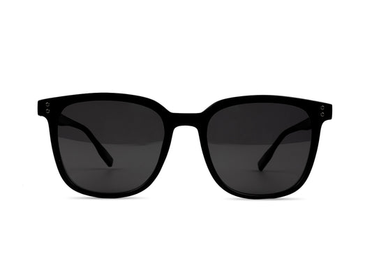 Sunglasses SG A8043