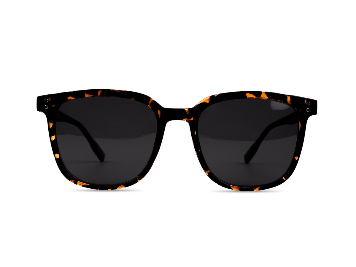 Sunglasses SGA8043