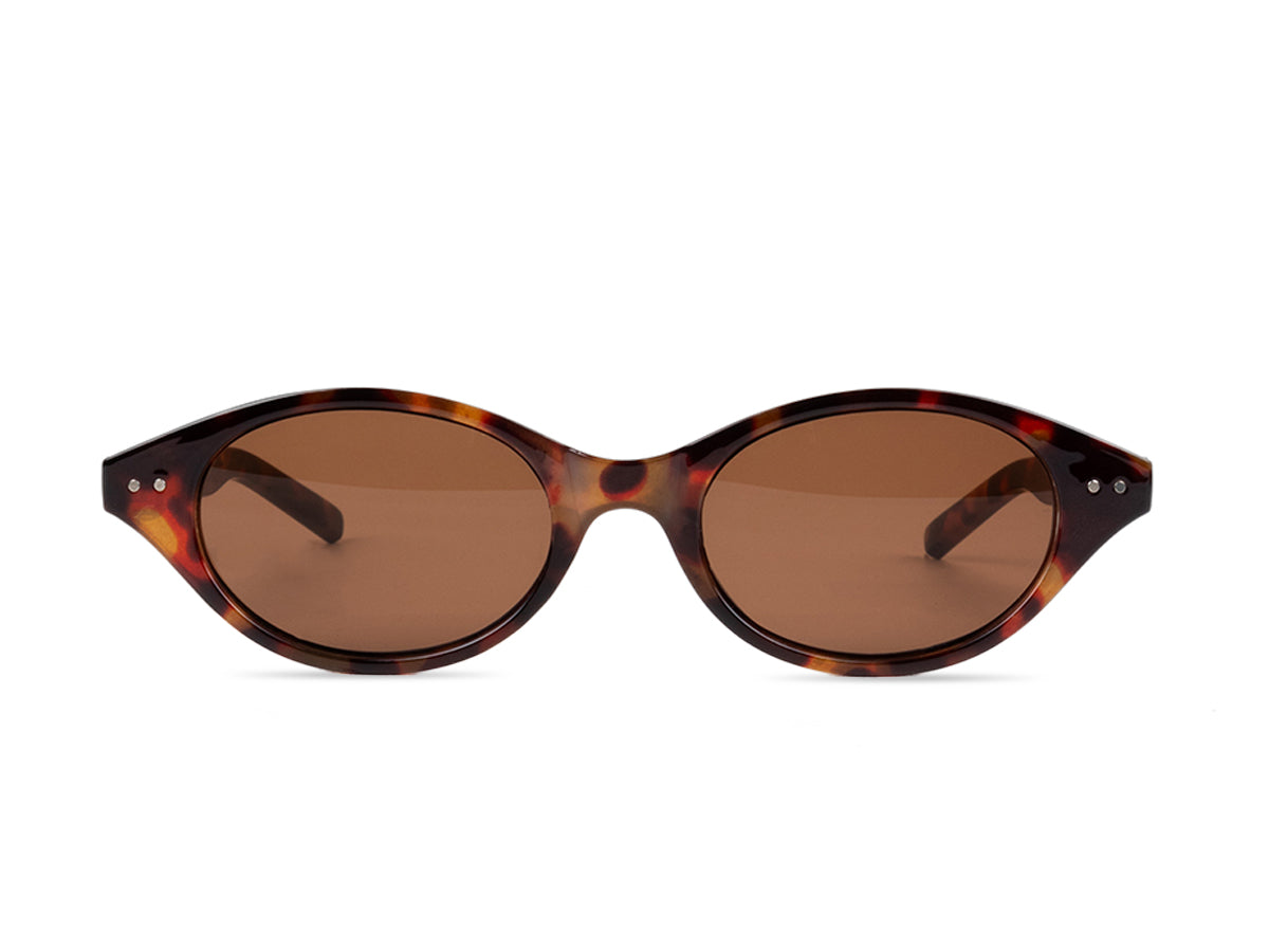Sunglasses SGOG20267T
