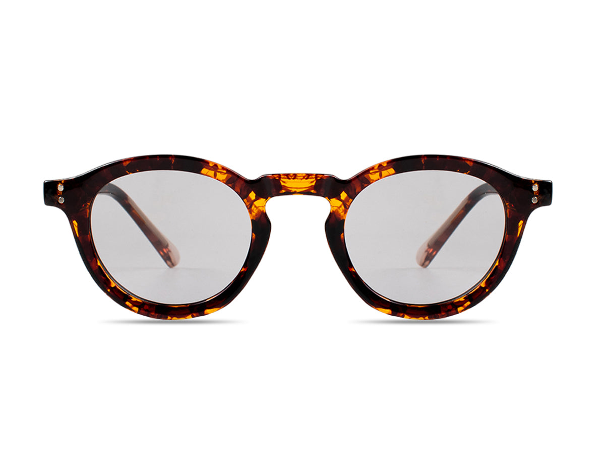 Sunglasses SGPCCP6260