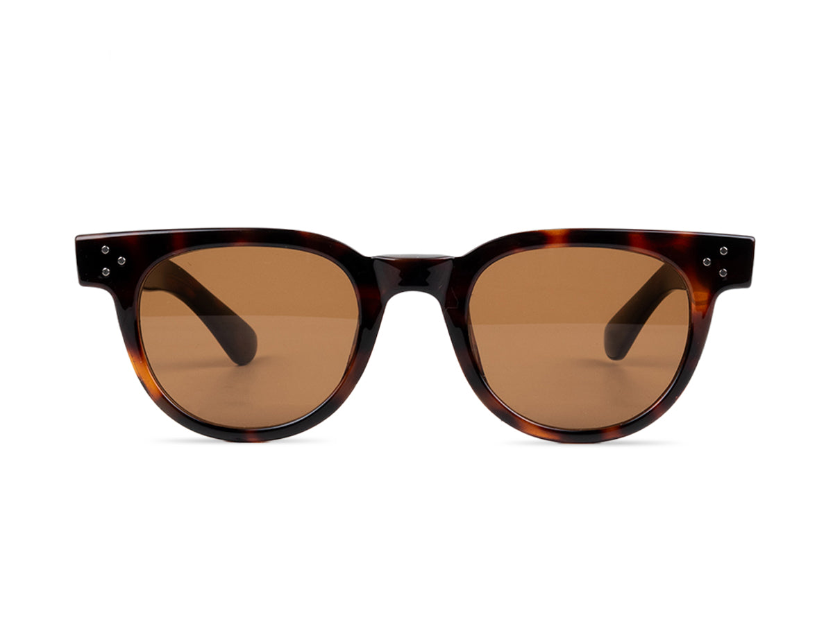Sunglasses SGPCCP6277