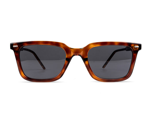 Sunglasses SGPCCP6282