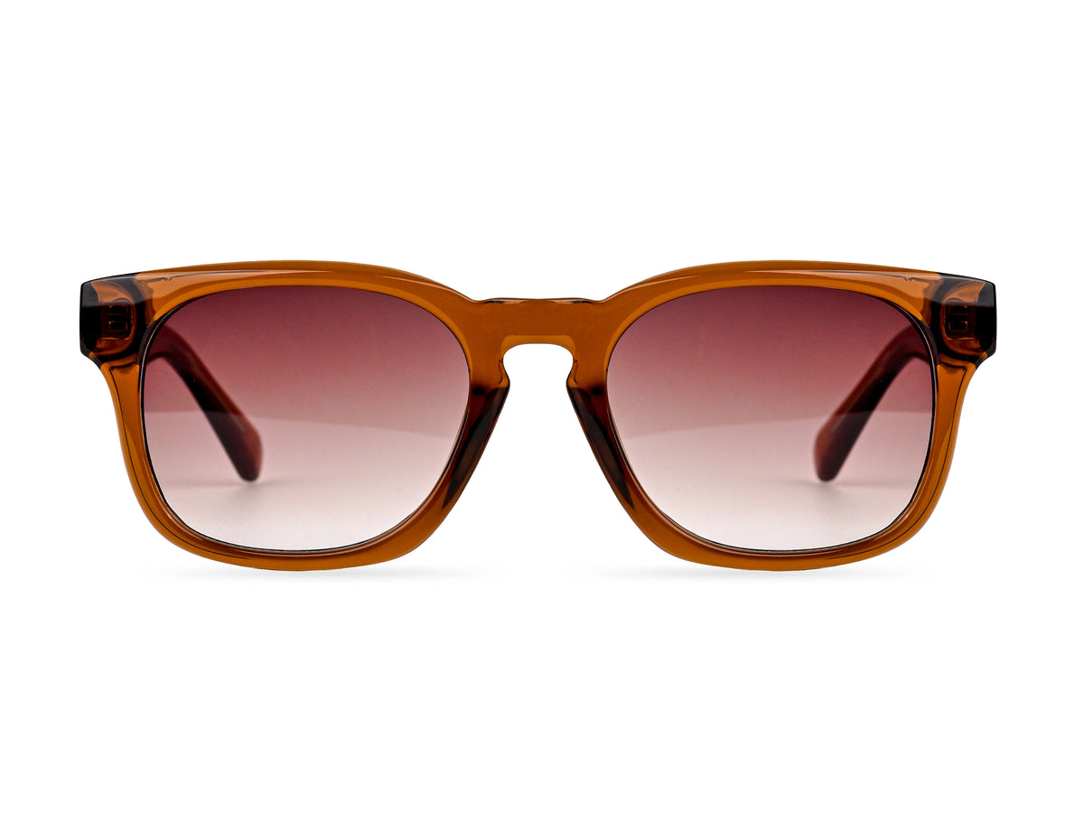 Sunglasses SGPCCPSZ8801