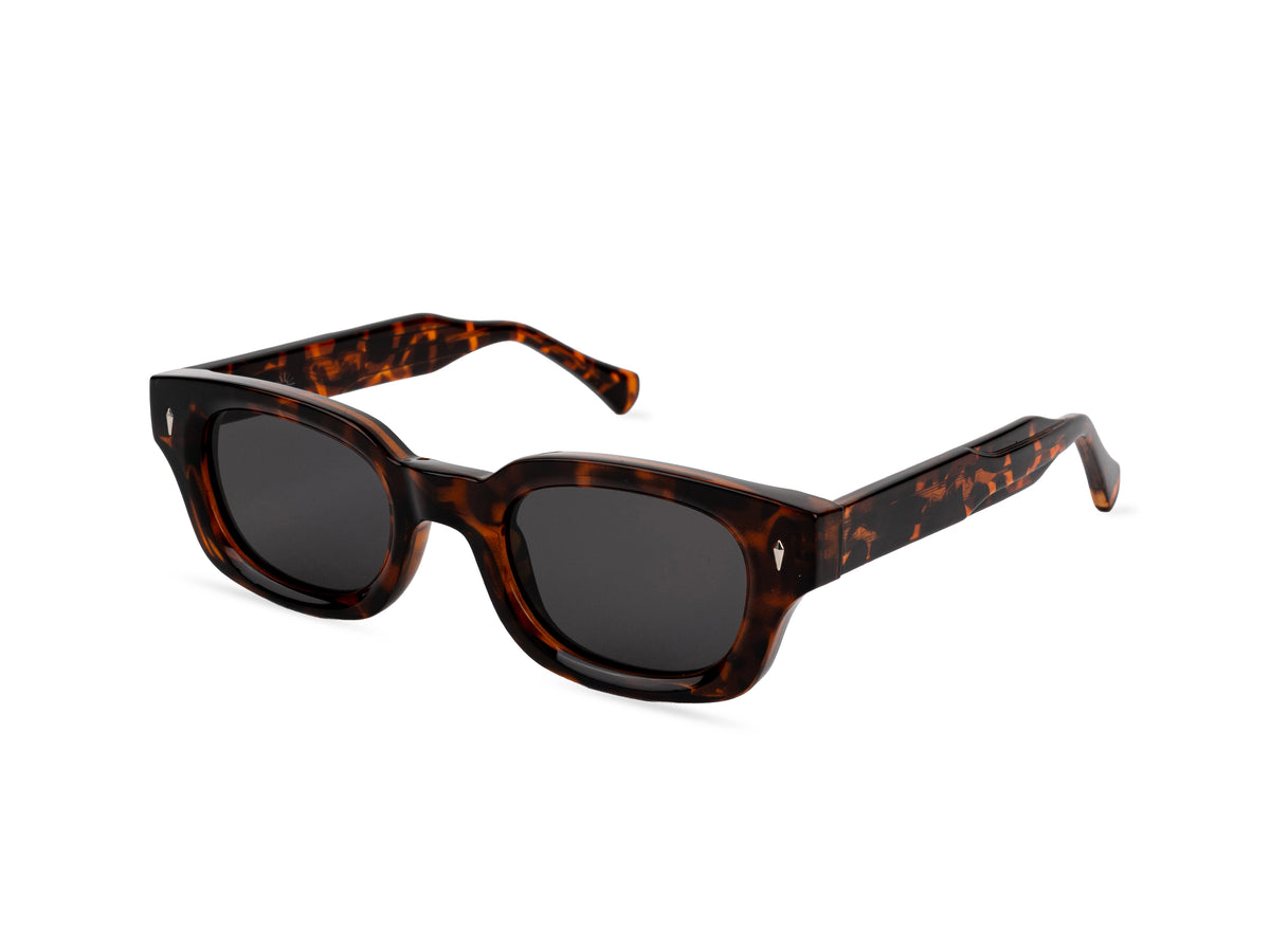 Sunglasses SGPCCPSZ8811