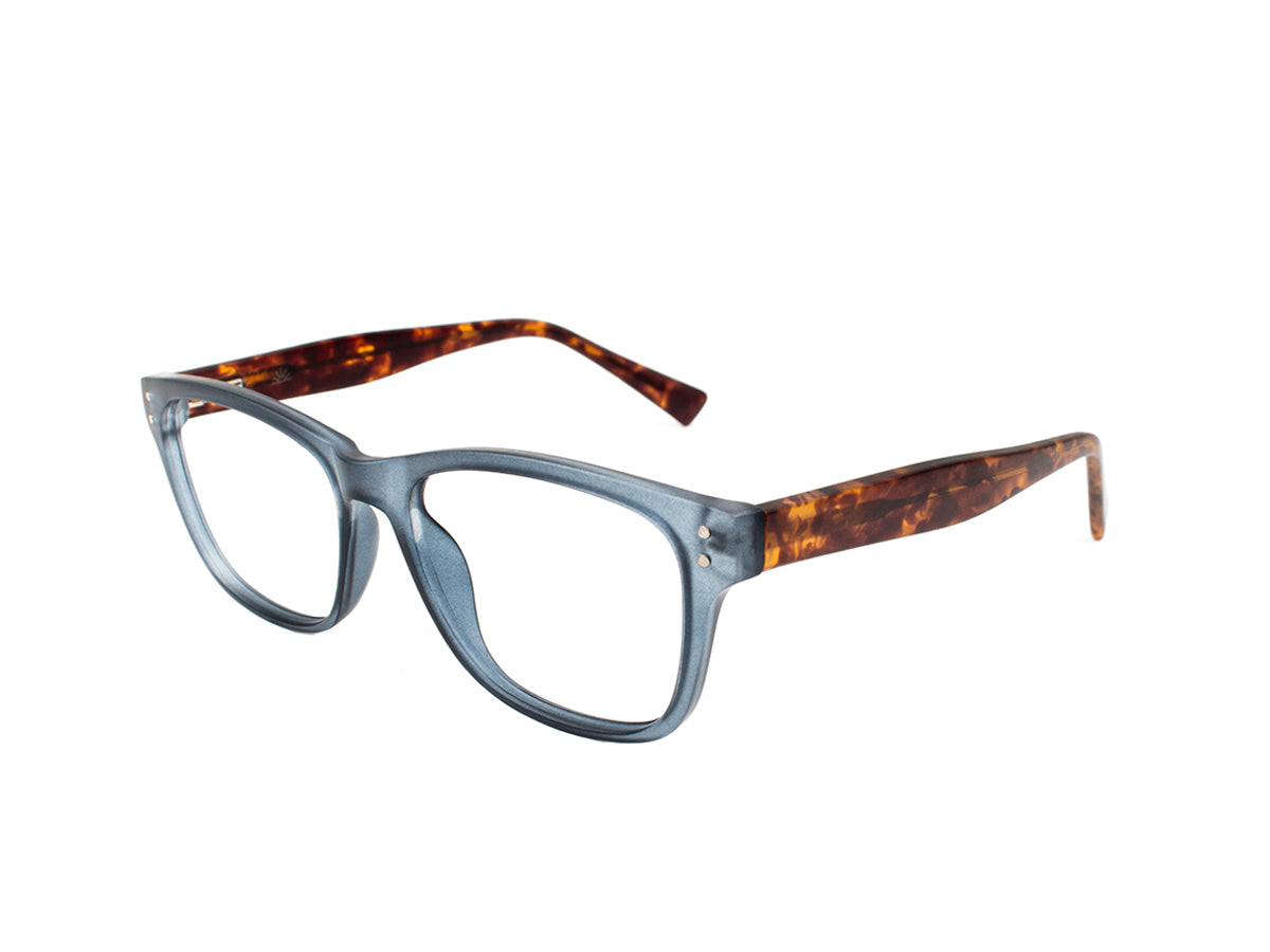 Optical TRCP1346