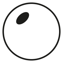 Black Tinted Lens